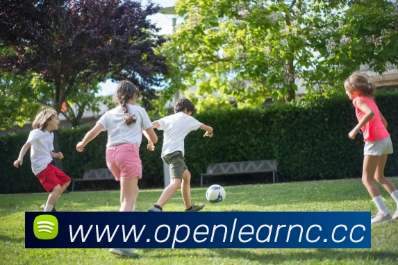 开云手机登录界面 - 开云中国品牌故事